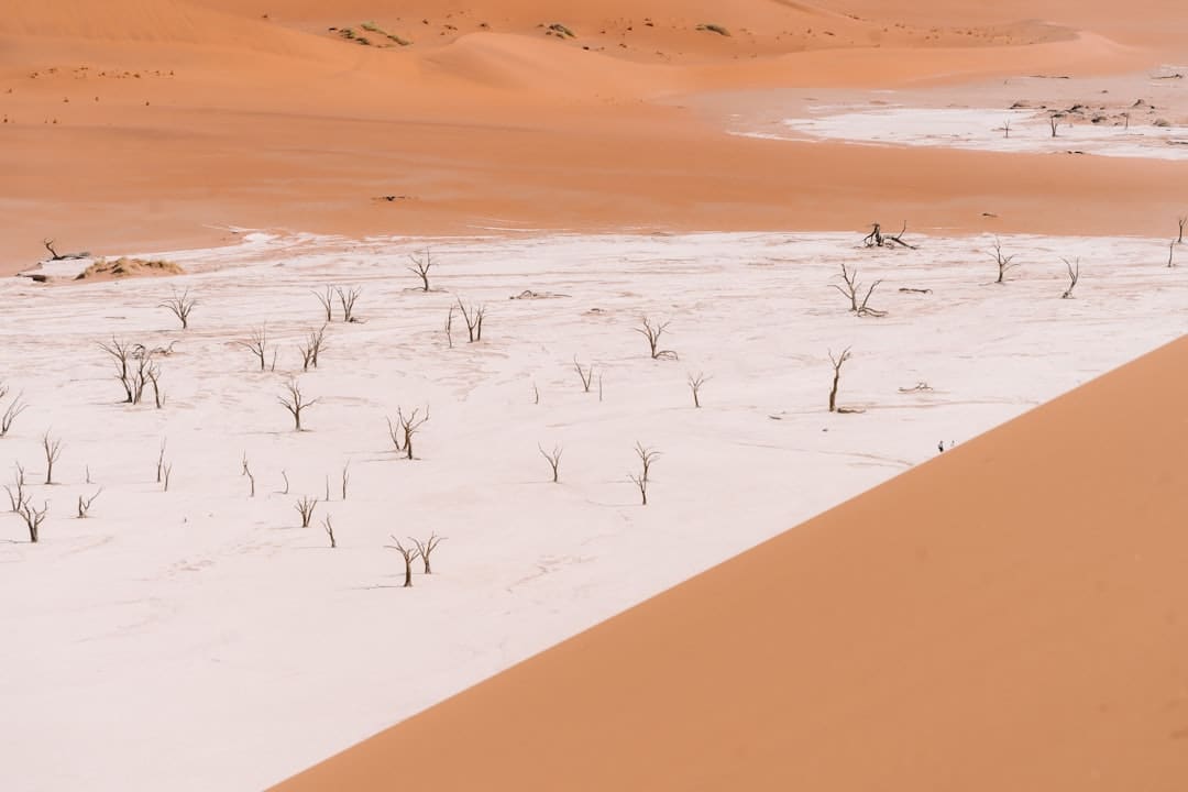 孙艺珍封闭交际渠道小号 疑因萧瑟童星风闻导致